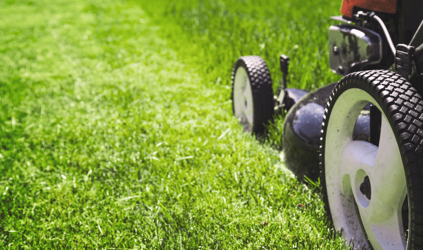 LAWN MOWING
